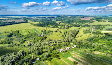 Blick über eine grüne, ländliche Gegend mit vielen Bäumen und wenig Häusern. Am Horizont sieht man das Meer